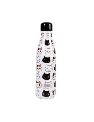 Botella térmica CAT (500ml)...